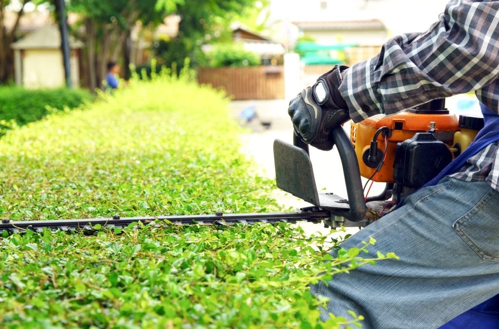 Tips to Stay Safe While Doing Yard Work